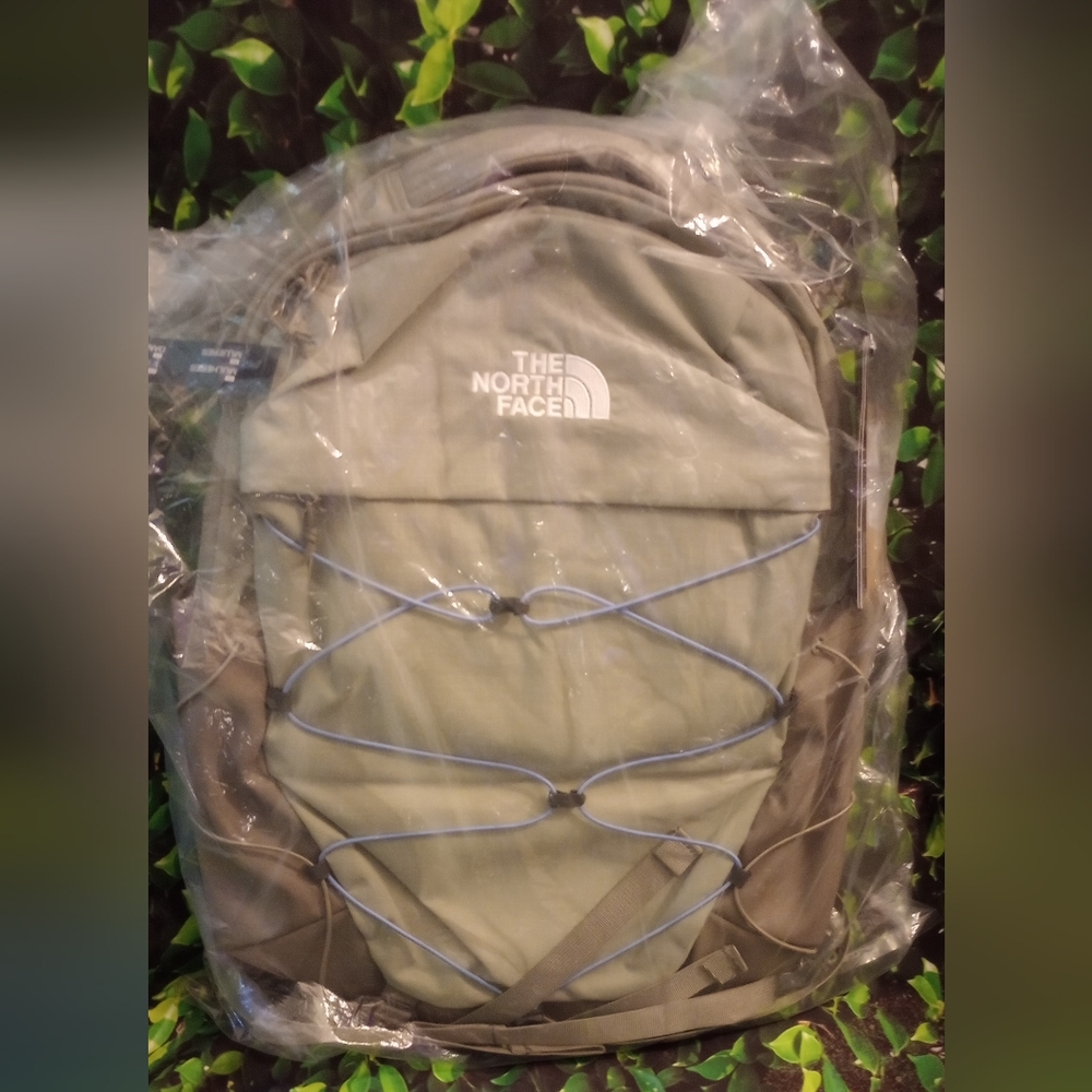 The North face backpack